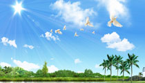 夏季使用發(fā)電機(jī)注意事項(xiàng)